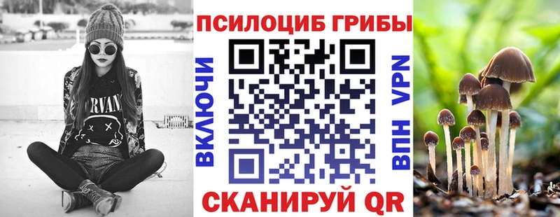 Псилоцибиновые грибы мицелий  купить наркотик  Котельниково 
